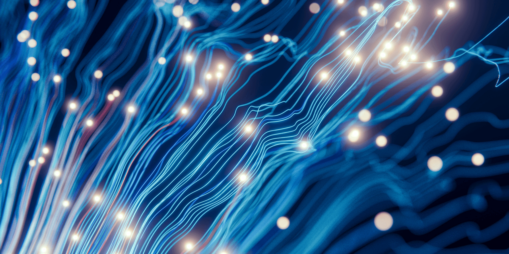 Turn Your Data Into Business Intelligence