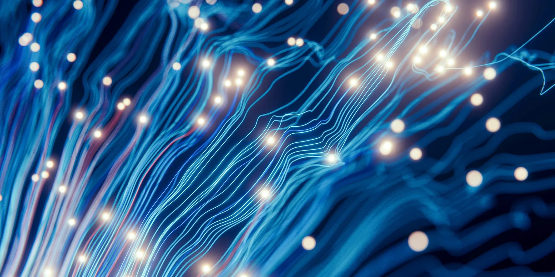 Turn Your Data Into Business Intelligence